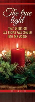 Picture of Banner Christmas The True Light that Shines 2x6 Vinyl