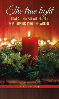 Picture of Banner Christmas The True Light that Shines 3x5 Vinyl