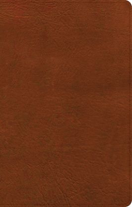 Picture of NASB Large Print Personal Size Reference Bible, Burnt Sienna Leathertouch, Indexed