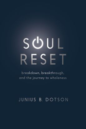 Picture of Soul Reset