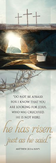 Picture of He Has Risen Easter 2' x 6' Banner