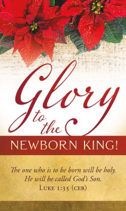 Picture of Banner Glory to the Newborn King Christmas 3 x 5 Fabric