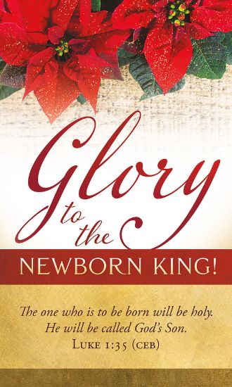 Picture of Banner Glory to the Newborn King Christmas 3 x 5 Fabric