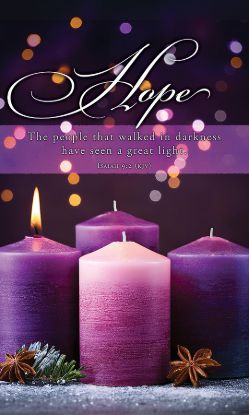 Picture of Banner Hope Great Light Advent 3 x 5 Fabric