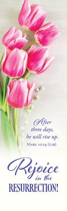 Picture of Easter Rejoice in the Resurrection! Banner 2' x 6' Vinyl