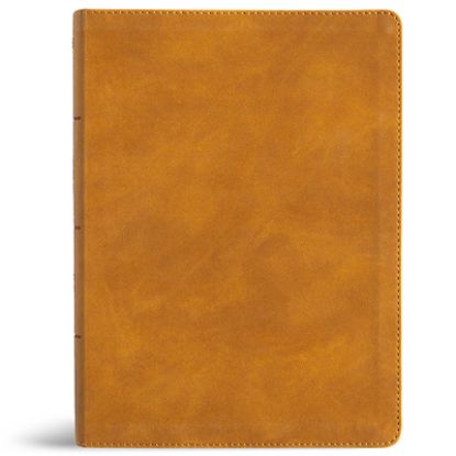Picture of NASB Study Bible, Camel Suedesoft Leathertouch, Indexed