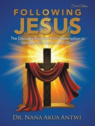 Picture of Following Jesus