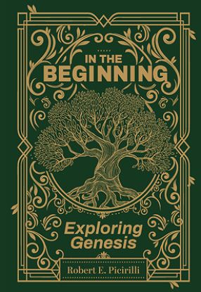 Picture of In the Beginning