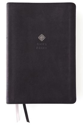 Picture of Niv, Men's Devotional Bible, Large Print, Leathersoft, Black, Comfort Print