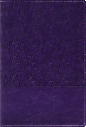 Picture of Amplified Holy Bible, Large Print, Leathersoft, Purple