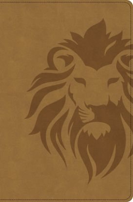 Picture of CSB One Big Story Bible, Revised & Updated, Easy-To-Read Optimal Type, Brown Lion Leathertouch, Indexed