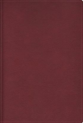 Picture of Rvr, Biblia de Estudio Trasfondo Cultural, Leathersoft, Rojo Vino, Interior a Color, Comfort Print