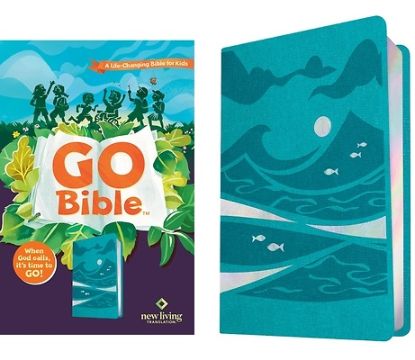 Picture of Go Bible
