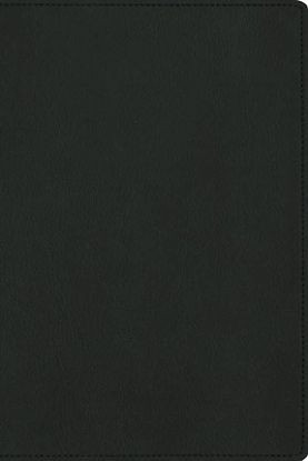 Picture of Nbla, Biblia Para La Lectura Pública, Versificada, Letra Grande, Piel de Cabra, Verde