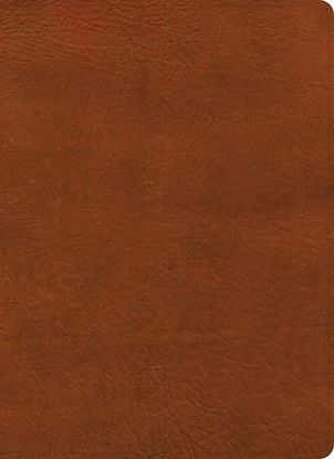 Picture of NASB Study Bible, Burnt Sienna Leathertouch