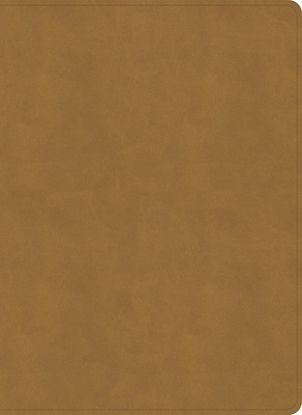 Picture of NASB Study Bible, Camel Suedesoft Leathertouch