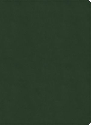 Picture of NASB Study Bible, Olive Leathertouch