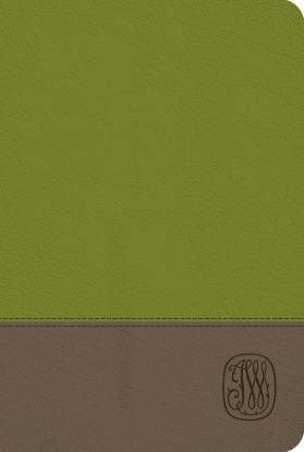 Picture of NRSV Wesley Study Bible