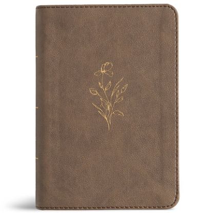 Picture of KJV Large Print Compact Reference Bible, Clay Leathertouch