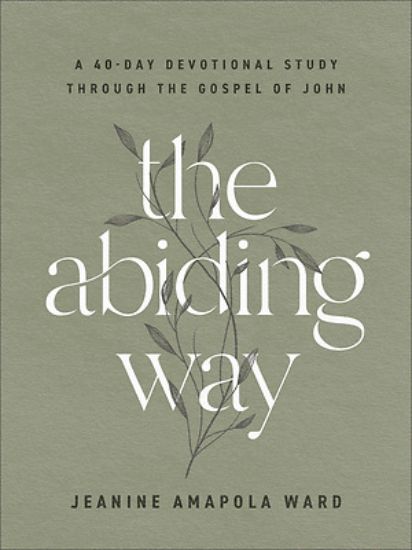 Picture of The Abiding Way