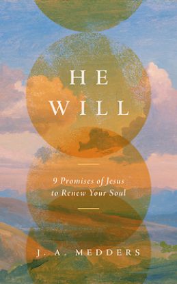 Picture of He Will
