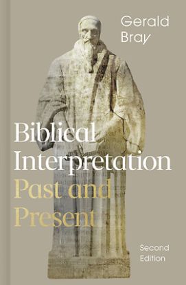Picture of Biblical Interpretation, 2nd Edition