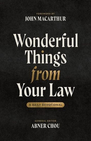 Picture of Wonderful Things from Your Law