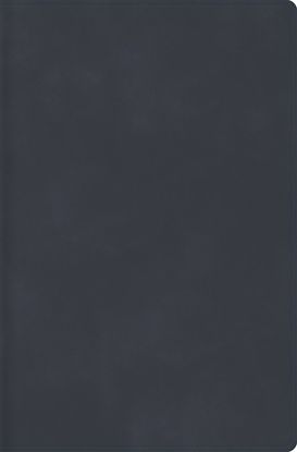Picture of Rvr 1960 Biblia Descubre Tu Fe, Gris Azulado, Símil Piel Con Índice