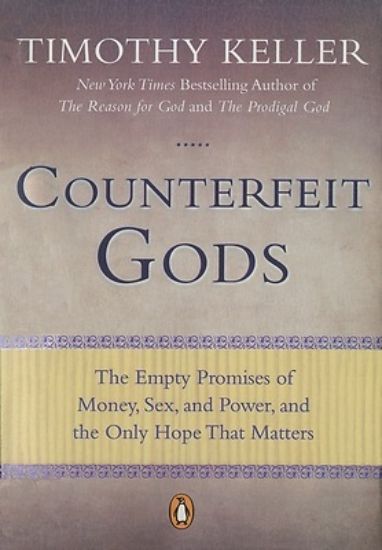 Picture of Counterfeit Gods