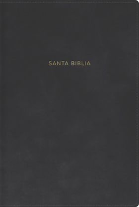 Picture of Rvr 1960 Biblia Letra Grande, Tamaño Manual, Gris, Símil Piel