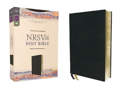 Picture of NRSVue Holy Bible