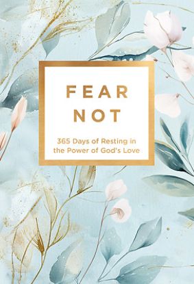 Picture of Fear Not