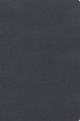 Picture of Rvr 1960 Biblia de Estudio Letra Gigante, Gris, Símil Piel Con Índice