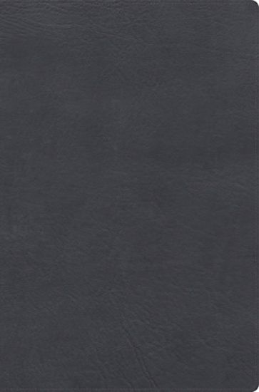 Picture of Rvr 1960 Biblia de Estudio Letra Gigante, Gris, Símil Piel Con Índice