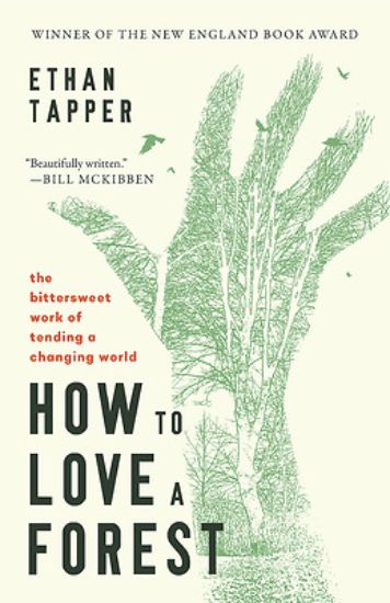 Picture of How to Love a Forest
