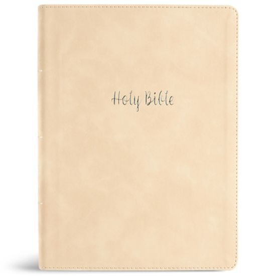 Picture of CSB Verse-By-Verse Reference Bible, Digital Study Edition, Cream Leathertouch