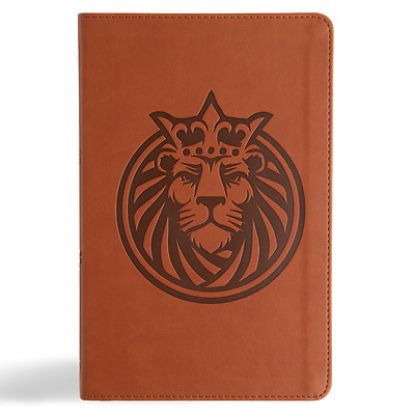 Picture of CSB Kids Bible, Anglicised Edition, Lion Leathertouch
