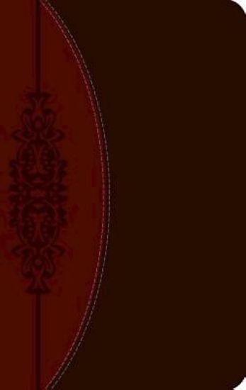 Picture of The CEB Wesley Study Bible, DecoTone