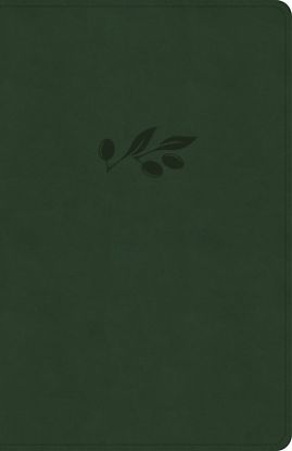 Picture of NASB Verse-By-Verse Reference Bible, Olive Leathertouch