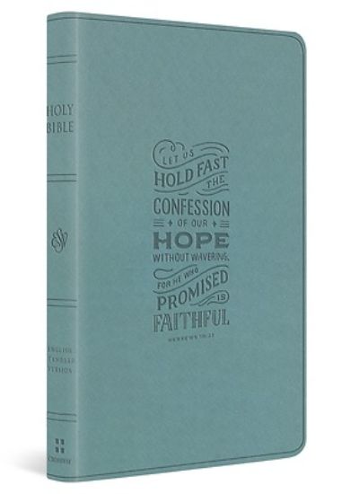 Picture of ESV Large Print Value Thinline Bible (Trutone, Paris Sky, Hebrews 10