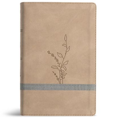 Picture of KJV Large Print Personal Size Reference Bible, Earthen Suedesoft Leathertouch, Indexed