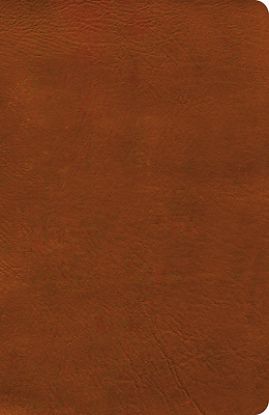 Picture of NASB Verse-By-Verse Reference Bible, Burnt Sienna Leathertouch