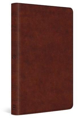 Picture of ESV Large Print Value Thinline Bible (Trutone, Chestnut)