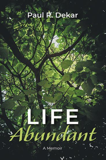 Picture of Life Abundant
