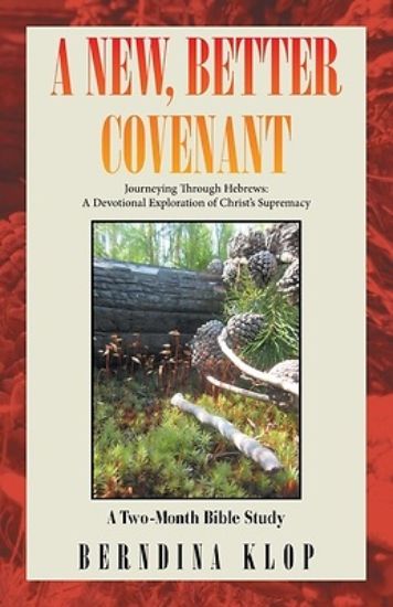 Picture of A New, Better Covenant