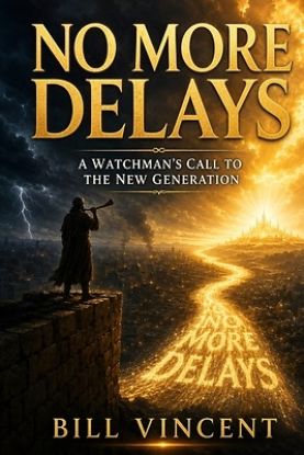 Picture of No More Delays