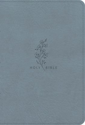 Picture of CSB Giant Print Reference Bible, Optimal Type, Digital Study Edition, Weathered Blue Leathertouch, Indexed