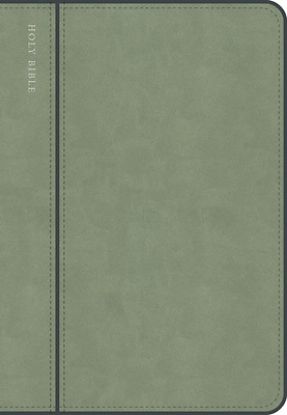 Picture of CSB Personal Size Giant Print Bible, Optimal Type, Digital Study Edition, Sage Suedesoft Leathertouch, Indexed