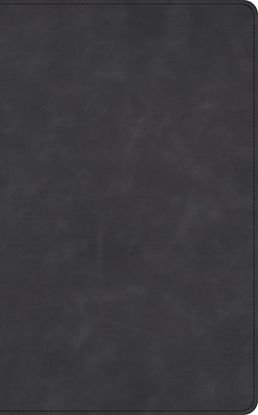 Picture of CSB Single-Column Wide-Margin Bible, Holman Handcrafted Collection, Marbled Slate Premium Calfskin