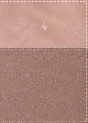 Picture of Rvr60, Biblia de Estudio de la Vida Plena, Edición Clásica, Leathersoft DOS Tonos Oro Rosa, Palabras de Jesús En Rojo, Comfort Print
